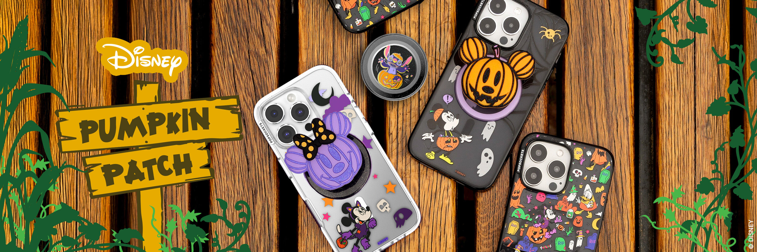 Disney Pumpkin Patch