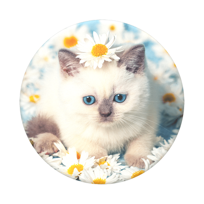 Secondary image for hover Purr-fect Flower
