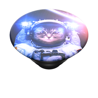 Catstronaut