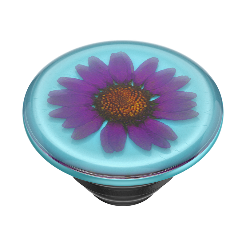 Pressed Flower Purple Daisy image number 7