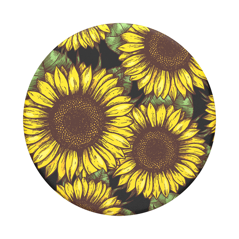 Sunflower Power image number 0