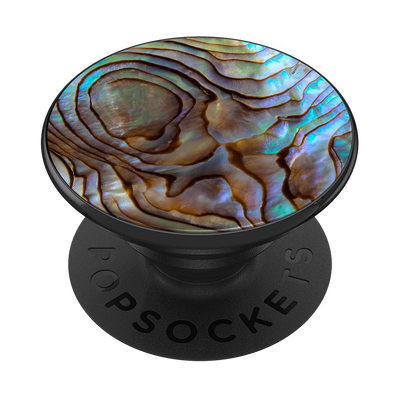 Secondary image for hover Paua Abalone