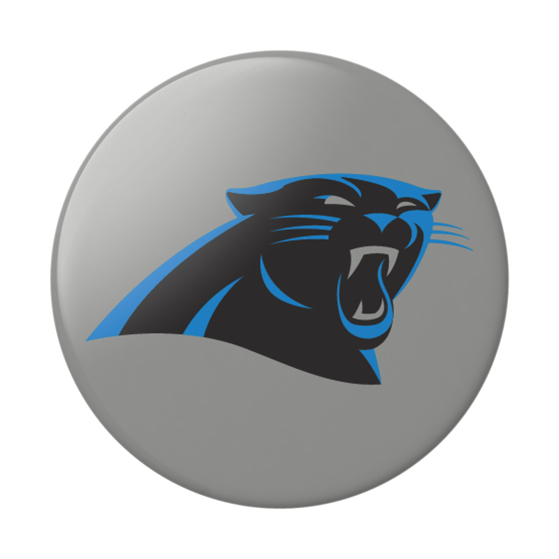 Carolina Panthers Helmet image number 0