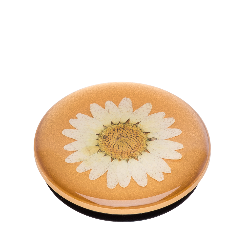 PopGrip with Swappable Top for Phones and Tablets PopSockets Pressed Flower White Daisy