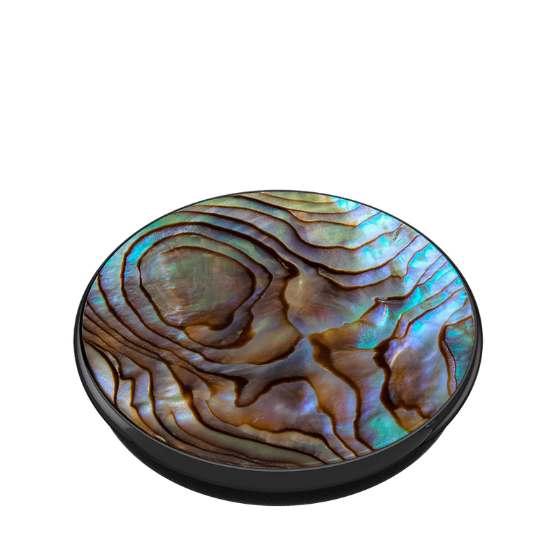 Paua Abalone image number 2