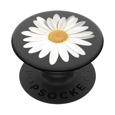 Secondary image for hover White Daisy