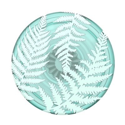 Secondary image for hover PlantCore Fern