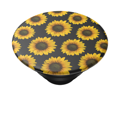 Secondary image for hover Sunflower Patch — PopTop