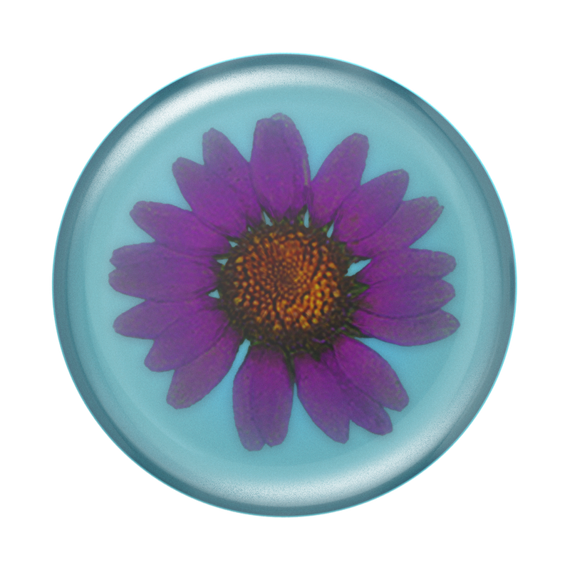 Pressed Flower Purple Daisy image number 0