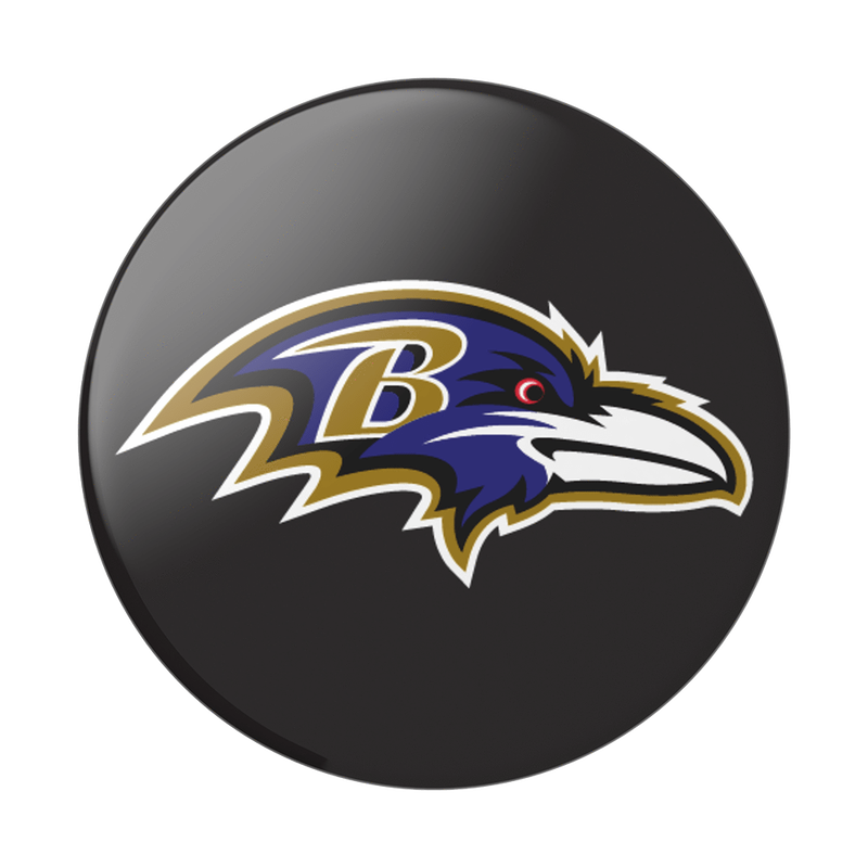 Baltimore Ravens Helmet image number 1