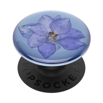 Secondary image for hover Pressed Flower Larkspur Purple