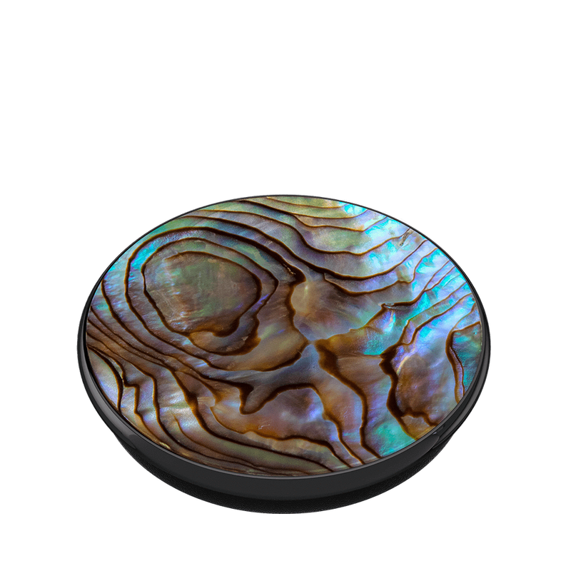 Paua Abalone image number 4