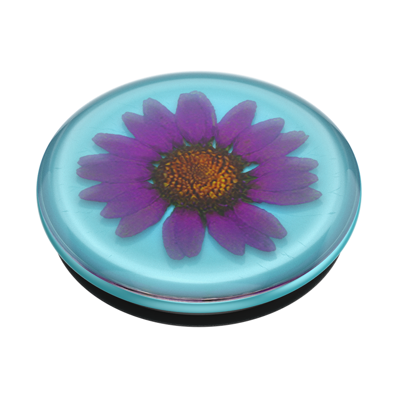 Pressed Flower Purple Daisy image number 2