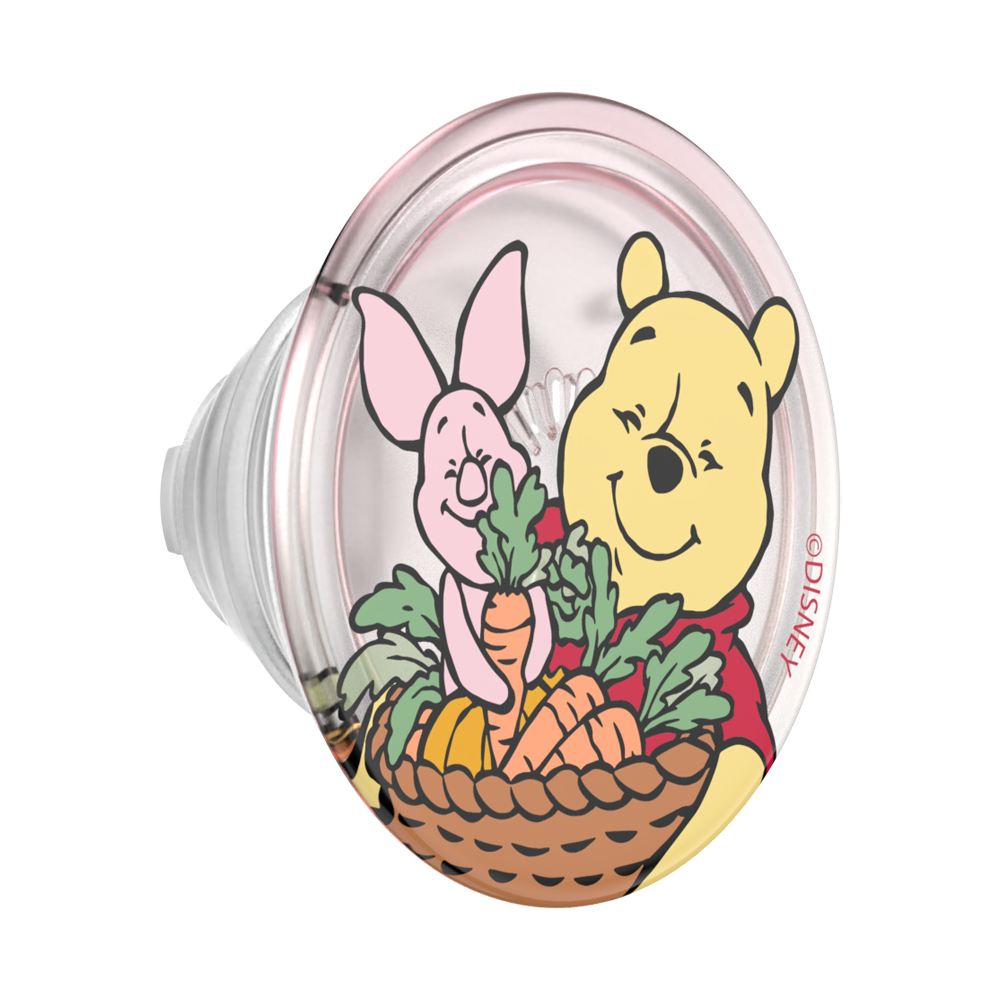 Harvest Friends — MagSafe PopGrip | MagSafe PopGrip | PopSockets